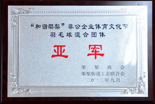 2012年羽毛球混合团体亚军