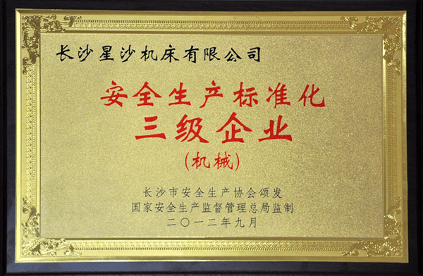2012安全生产标准化三级企业