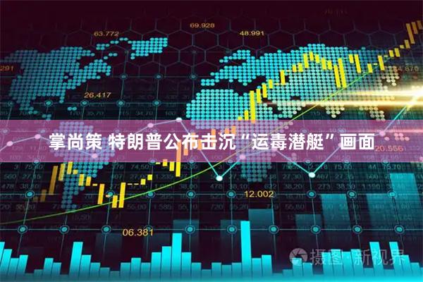掌尚策 特朗普公布击沉“运毒潜艇”画面