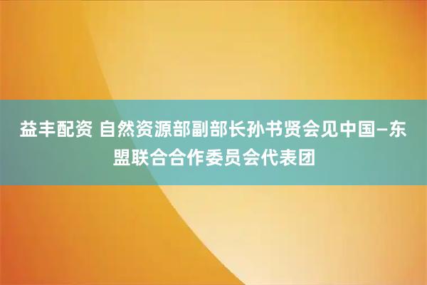 益丰配资 自然资源部副部长孙书贤会见中国—东盟联合合作委员会代表团