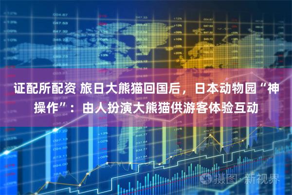 证配所配资 旅日大熊猫回国后，日本动物园“神操作”：由人扮演大熊猫供游客体验互动