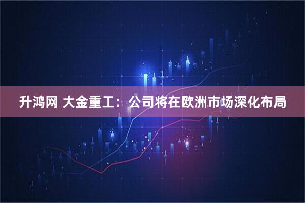升鸿网 大金重工：公司将在欧洲市场深化布局